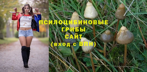 2c-b Алексеевка