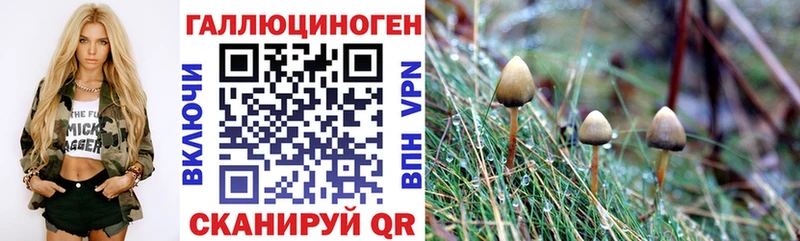 Псилоцибиновые грибы Cubensis наркота blacksprut ссылки Железноводск